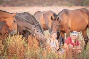 Zambujal Horses & Nature. House t1. Alentejo. Arronches.